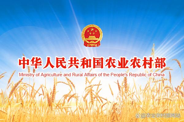 中国人民银行、金融监管总局、中国证监会、财政部、农业农村部印发《关于金融支持全面推进乡村振兴加快建设农业强国的指导意见》