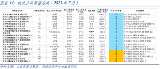 蒋飞：2023年下半年财政政策展望 政府债务 地方债 预算执行 行业新闻 第13张