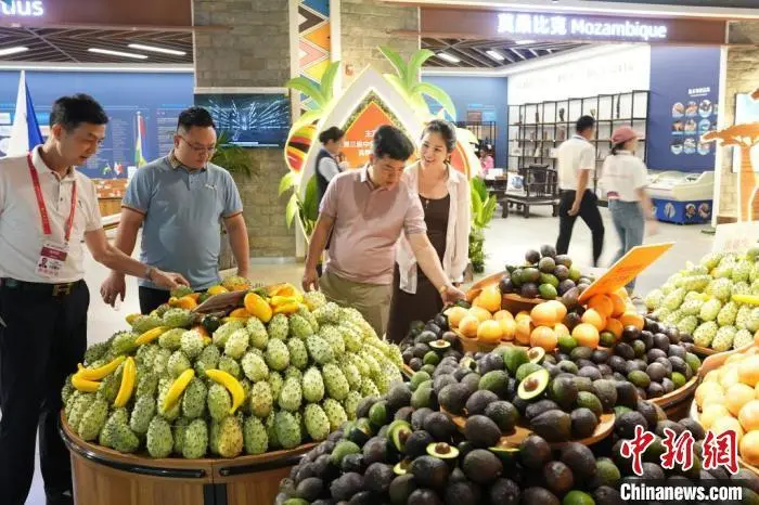 中非经贸孕育“潮经济”：非洲咖啡与中国市场“双向奔赴” 咖啡行业 咖啡 行业新闻 第2张