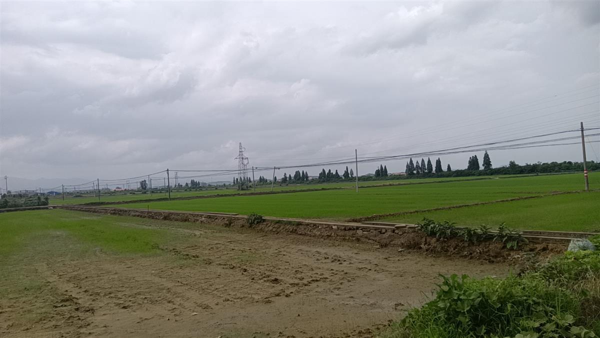 乡村企业年营收过亿，湖北银行助力乡村振兴