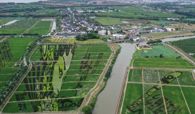 奏响新时代的“弦歌之治”——江苏人文经济学新实践 城市经济 江苏苏州 南京文化 行业新闻 第14张