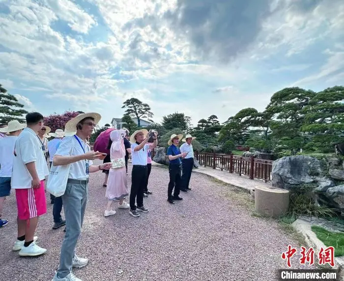 两岸人士“乡约”美丽经济 凝聚产业优势互补共识 台湾经济 台海时事 乡约 行业新闻 第2张