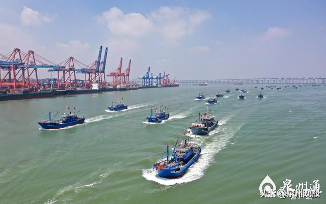 锚定未来 做大做强做优“四大经济” 泉州东海 中国十大经济区 泉州 行业新闻 第4张
