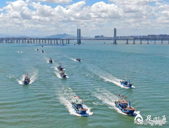 锚定未来 做大做强做优“四大经济” 泉州东海 中国十大经济区 泉州 行业新闻 第3张