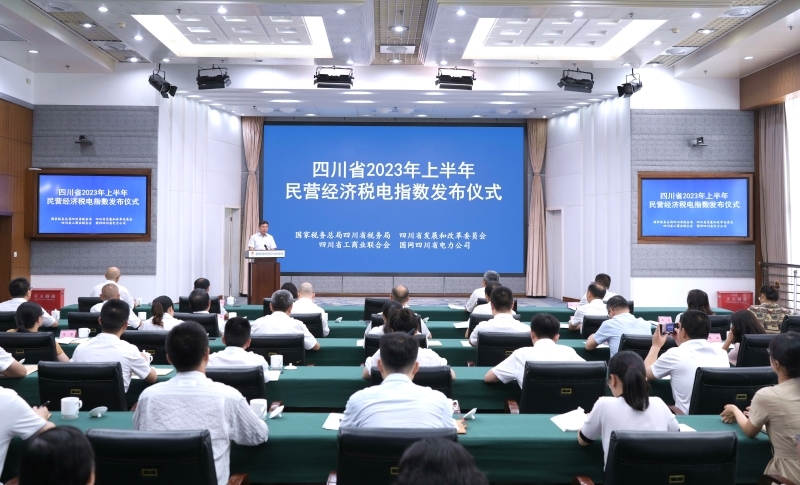 首次公布 四川上半年民营经济税电指数106.2