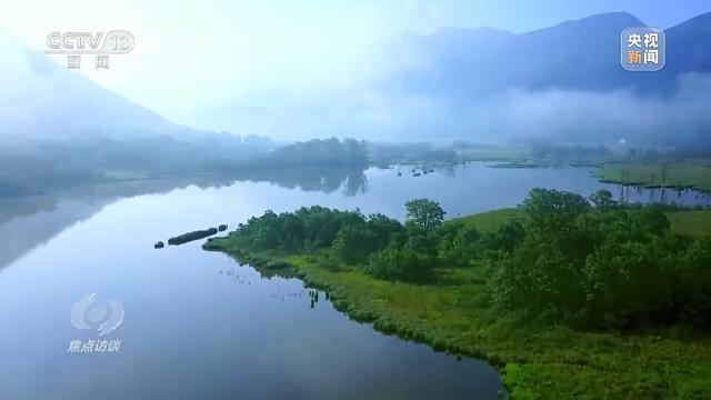 焦点访谈丨“半年报”：中国经济回升向好 经济 行业新闻 第3张
