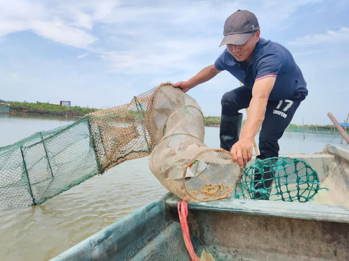 乡味｜浙江乐清：舌尖上的“蟹经济” 王蒙 乐清 农民 行业新闻 第3张