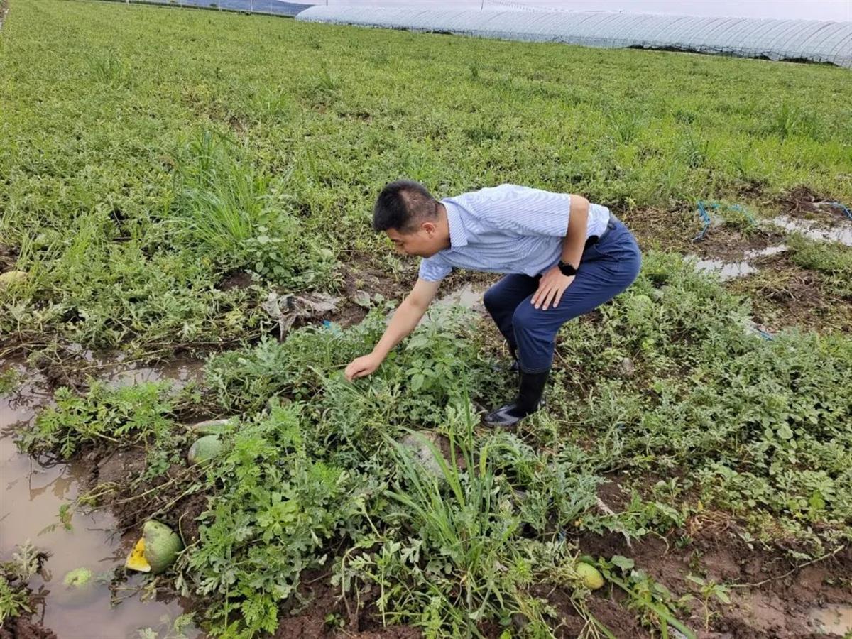 邮储银行全力支持防汛救灾和灾后重建 金融 邮储银行 银行 行业新闻 第2张
