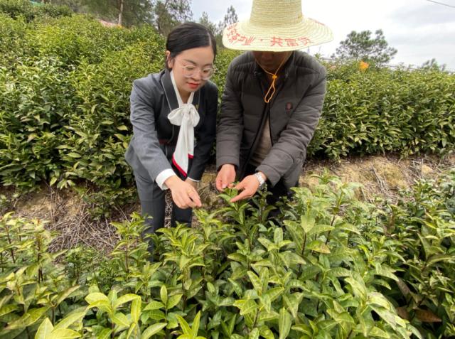 成立15年，浙商银行杭州分行唱响服务杭州高质量发展的激昂乐章 杭州经济 金融 浙商银行 行业新闻 第3张