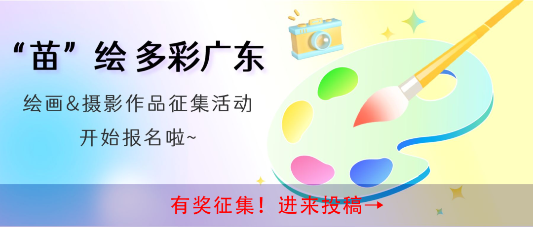 蔗香满溢！贴息贷款为蔗农“贷”来甜蜜生活 三农 创业 贴息贷款 行业新闻 第6张