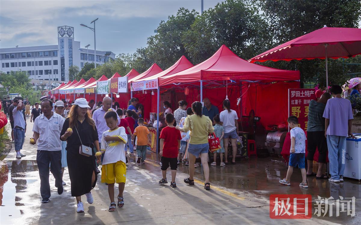 “不夜城”激活夜经济，罗田县首届梦幻灯光节闪耀甫薇山庄