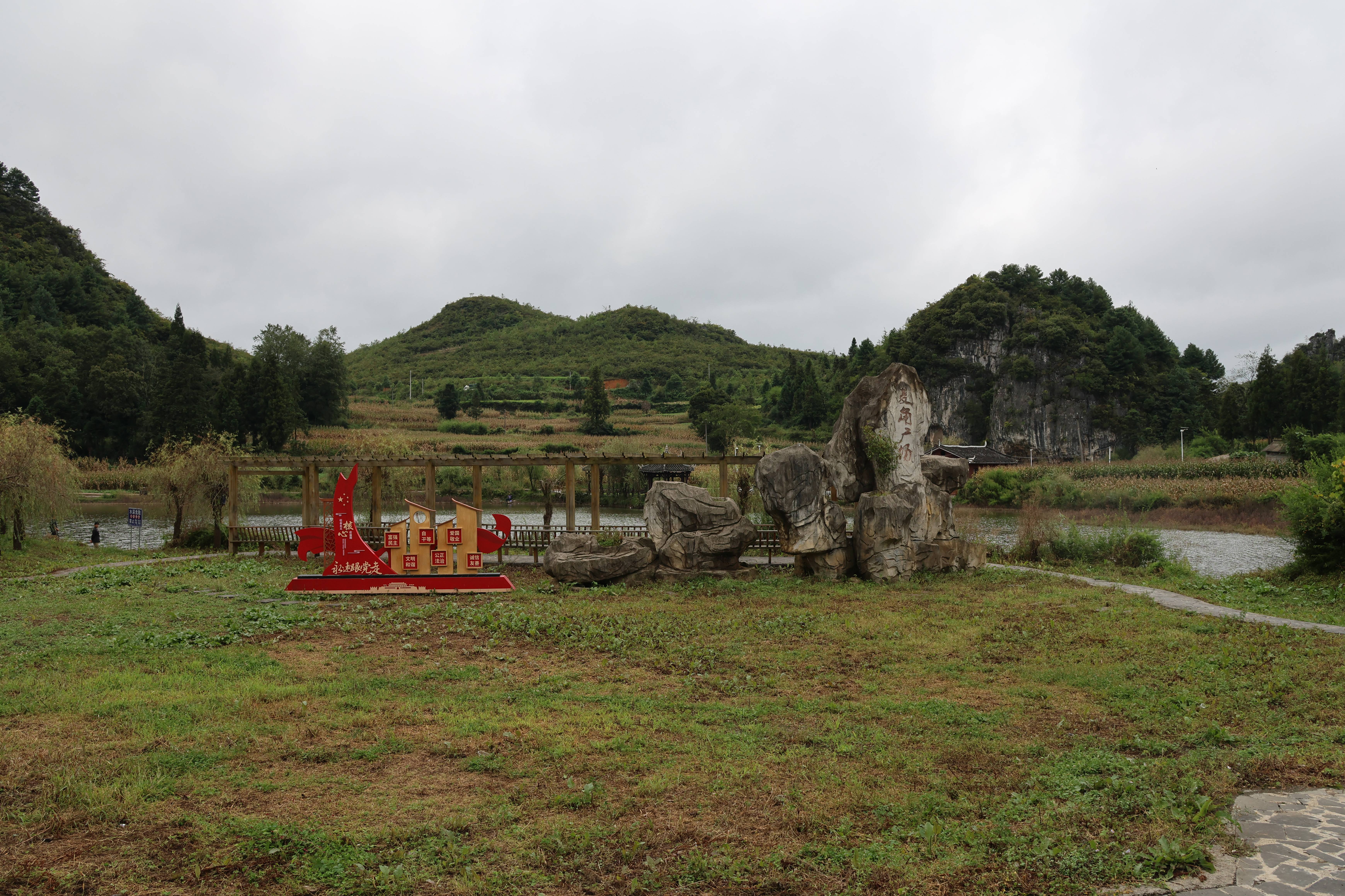 大方县兴隆乡：高山海花与大棚鲜花，共绘特色经济新画卷