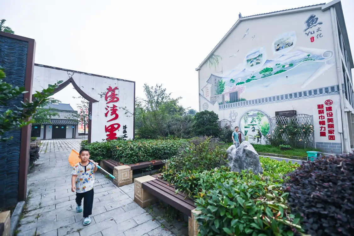 “千万工程”建设美丽乡村“美丽经济” 农村 三农 行业新闻 第5张