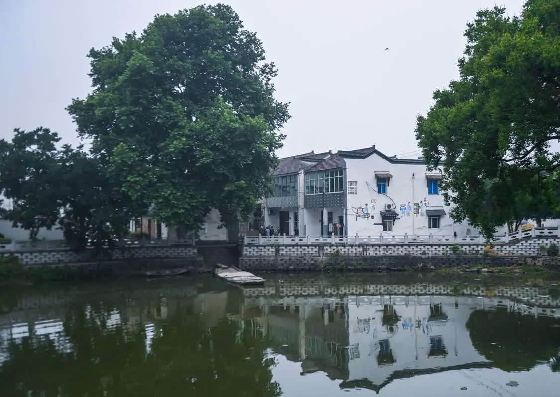 “千万工程”建设美丽乡村“美丽经济” 农村 三农 行业新闻 第9张