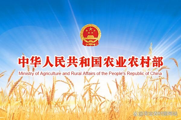 中国人民银行、金融监管总局、中国证监会、财政部、农业农村部印发《关于金融支持全面推进乡村振兴加快建设农业强国的指导意见》