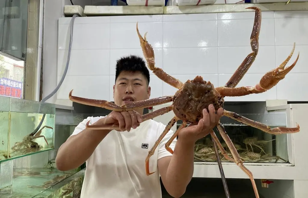 口岸城市听信心丨加大对外开放 这座边城做活“海洋经济” 海鲜 海洋经济 行业新闻 第3张