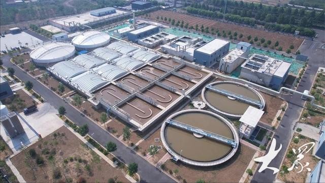 金融助力为泰安经济高质量发展注入 “源头活水” 行业新闻 第4张 金融助力为泰安经济高质量发展注入 “源头活水” 行业新闻 第4张