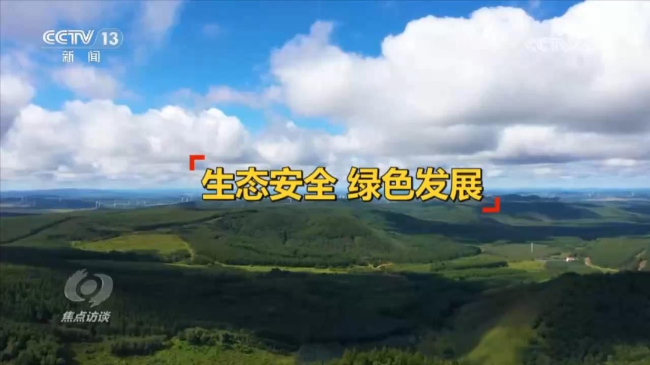 焦点访谈：区域经济新格局 必须作答的时代命题 行业新闻 第7张