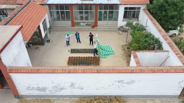 东营市广饶县：“三方”入股发展“庭院经济” 打造共同致富新模式