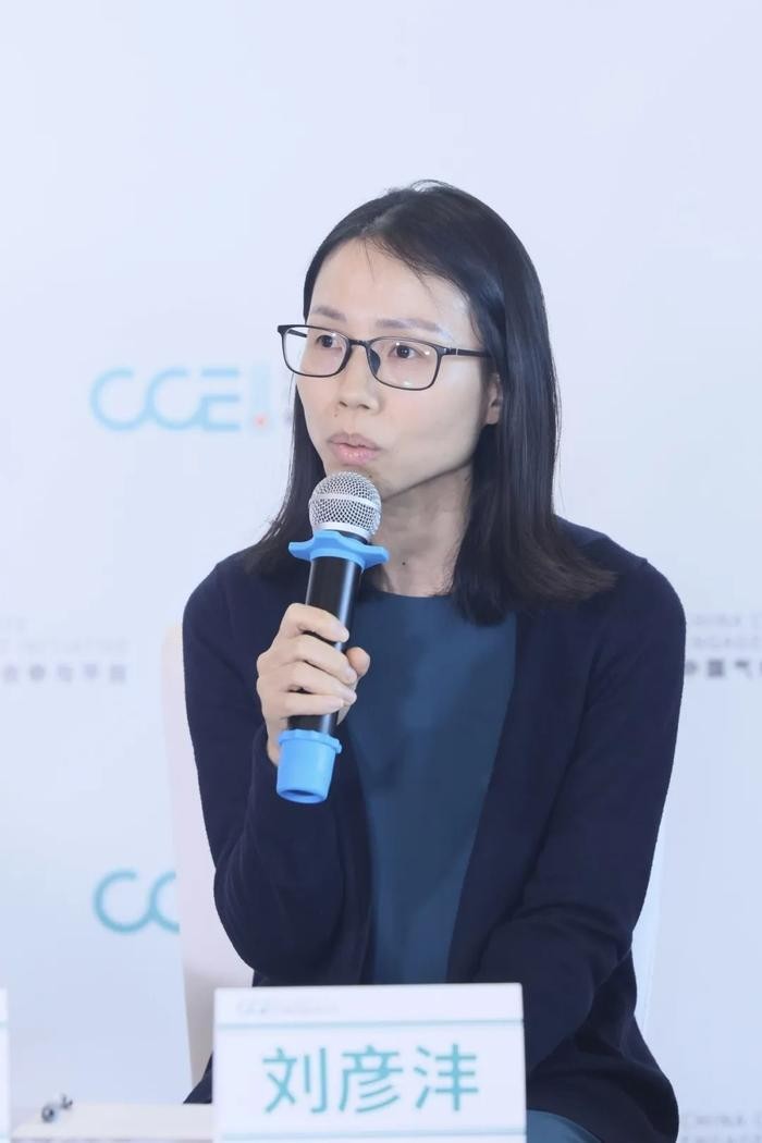 CCEI专题研讨活动成功举办,多方共话气候相关信息披露支持中国实体经济低碳转型 行业新闻 第12张 CCEI专题研讨活动成功举办,多方共话气候相关信息披露支持中国实体经济低碳转型 行业新闻 第12张