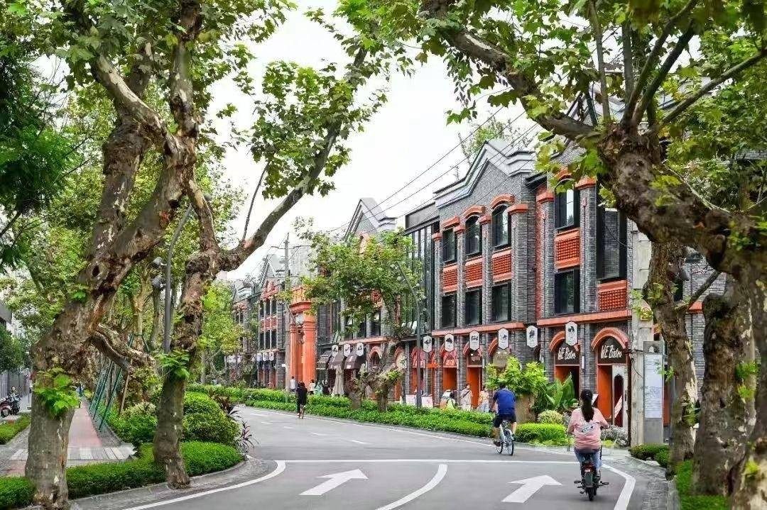 行道树也能存进“银行”？成都将打造一批“行道树银行” 行业新闻 第2张
