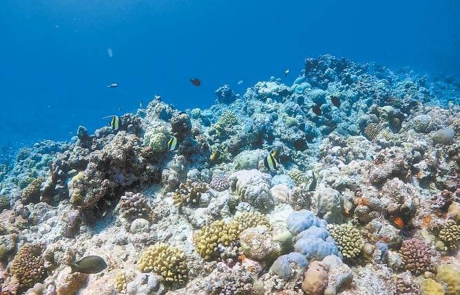海洋经济成国民经济增长新引擎