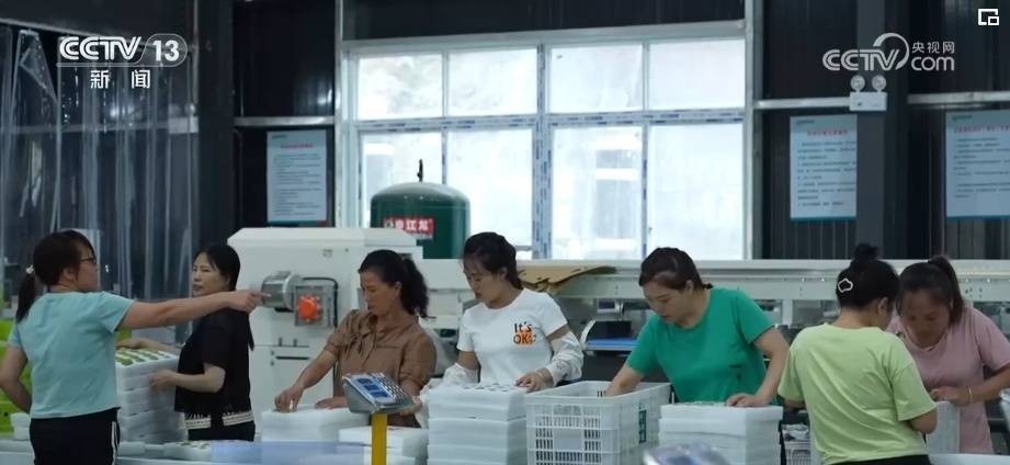 繁荣经济新支点 “数”读快递里的经济活力 行业新闻 第7张