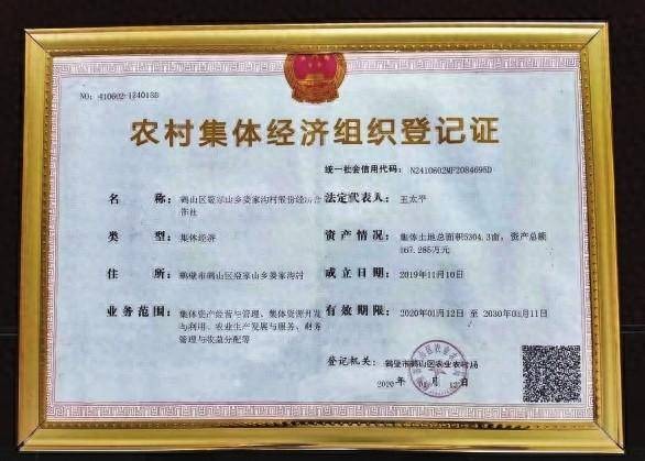 集体经济年年有“鱼”