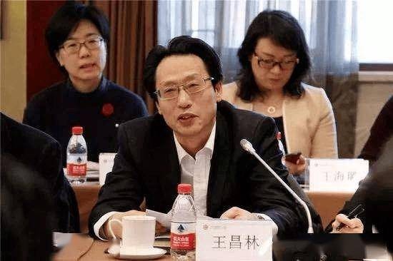 「经济发展」王昌林：我国农业农村经济发展势头良好