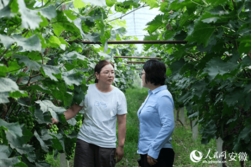合肥科技农村商业银行：普惠贷款破百亿 “上天入地”添动力