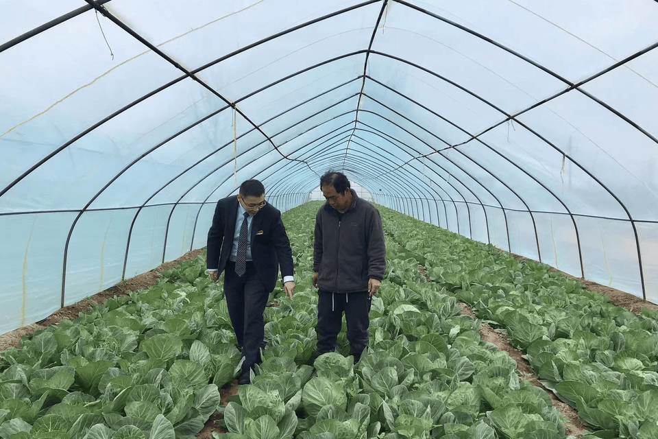 泰安银行：登高望远奋力争先，打造区域性精品银行 金融 泰安 银行 行业新闻 第4张