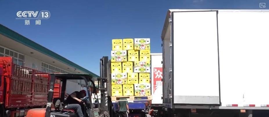 冷链激活经济“热力” 新业态拓展新市场 冷链运输 冷藏车 冷库 行业新闻 第2张