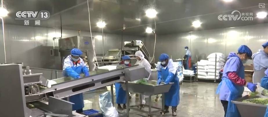 冷链激活经济“热力” 新业态拓展新市场 冷链运输 冷藏车 冷库 行业新闻 第8张
