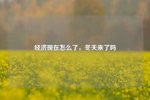 经济现在怎么了，冬天来了吗