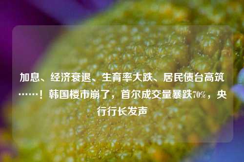 加息、经济衰退、生育率大跌、居民债台高筑……！韩国楼市崩了，首尔成交量暴跌70%，央行行长发声