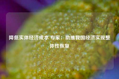 降低实体经济成本 专家：助推我国经济实现整体性恢复