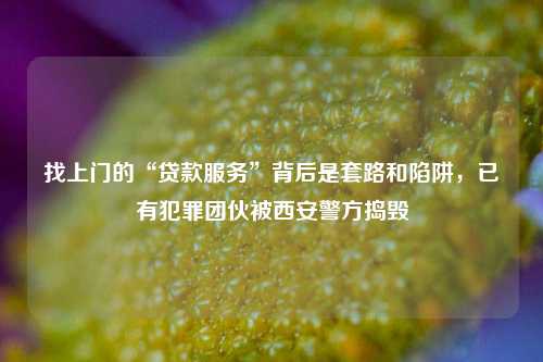 找上门的“贷款服务”背后是套路和陷阱，已有犯罪团伙被西安警方捣毁