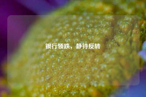 银行领跌，静待反转