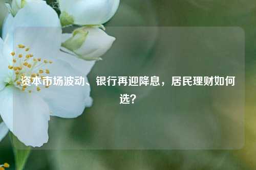 资本市场波动、银行再迎降息，居民理财如何选？