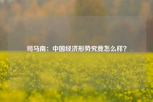 司马南：中国经济形势究竟怎么样？