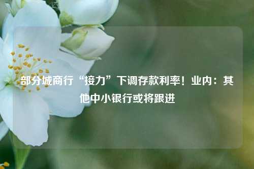 部分城商行“接力”下调存款利率！业内：其他中小银行或将跟进