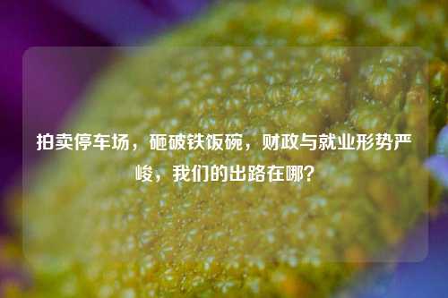 拍卖停车场，砸破铁饭碗，财政与就业形势严峻，我们的出路在哪？