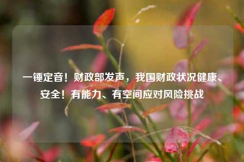一锤定音！财政部发声，我国财政状况健康、安全！有能力、有空间应对风险挑战