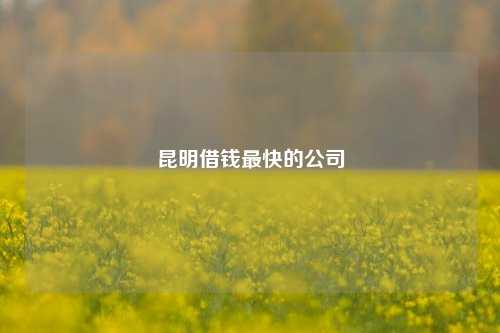 昆明借钱最快的公司