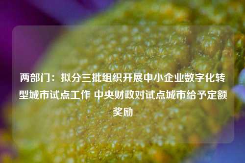 两部门：拟分三批组织开展中小企业数字化转型城市试点工作 中央财政对试点城市给予定额奖励