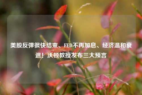 美股反弹很快结束、FED不再加息、经济温和衰退！沃顿教授发布三大预言