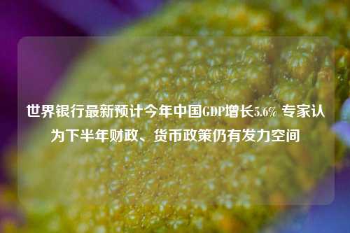 世界银行最新预计今年中国GDP增长5.6% 专家认为下半年财政、货币政策仍有发力空间
