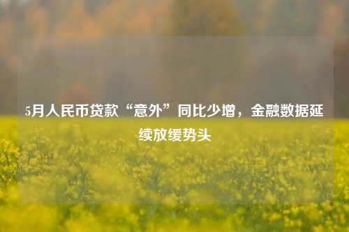 5月人民币贷款“意外”同比少增，金融数据延续放缓势头
