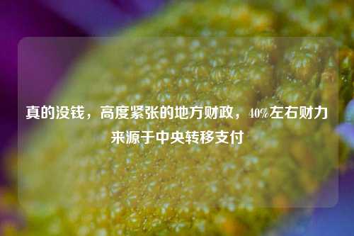 真的没钱，高度紧张的地方财政，40%左右财力来源于中央转移支付