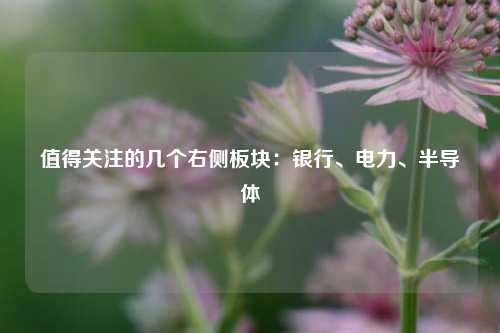 值得关注的几个右侧板块：银行、电力、半导体